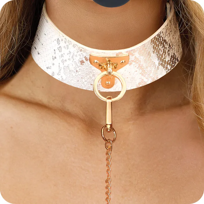 Couples Shots Toys Ouch Florence Collection Collar Leash