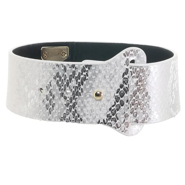 Couples Shots Toys Ouch Florence Collection Collar Leash