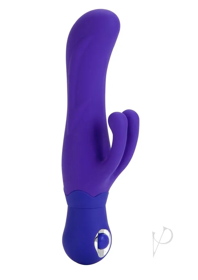 Dildos Personality Vibes Posh Silicone Double Dancer Purple