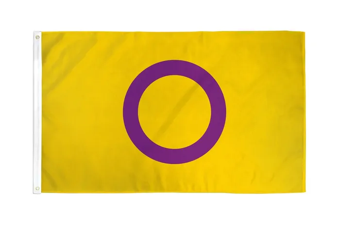 Vibrators Flags Importer 3 x 5 Intersex Pride Flag Flags Importer